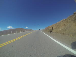 DCIM100GOPRO